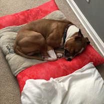 Thumbnail photo of Victor #2