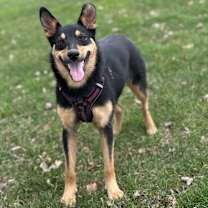 Thumbnail photo of Nora #3