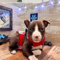 Thumbnail photo of Breckenridge #2