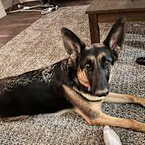 Thumbnail photo of Zoey #2