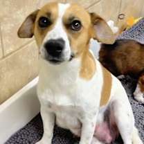 Thumbnail photo of Macy #2