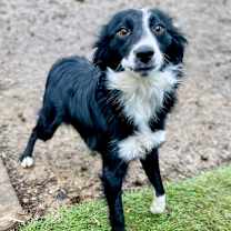 Thumbnail photo of Georgia #1