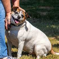 Thumbnail photo of Oskar #1