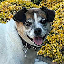 Thumbnail photo of Oskar #2