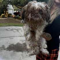 Thumbnail photo of Clark #4