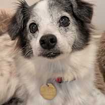 Thumbnail photo of Mi'jo #1