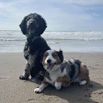 Thumbnail photo of Gunner #3