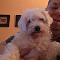 Thumbnail photo of Fairy Tale #1