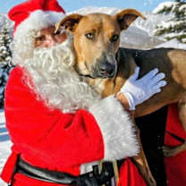 Thumbnail photo of Windigo #3