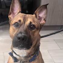 Thumbnail photo of Carmel - 2 #2