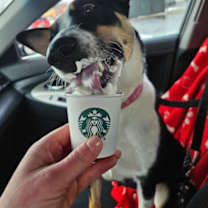 Thumbnail photo of Theresa #3