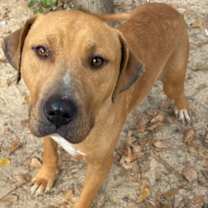 Thumbnail photo of ANDY #1