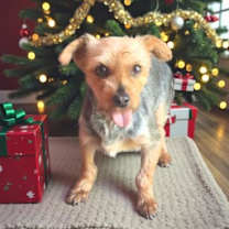 Thumbnail photo of Tianna #3