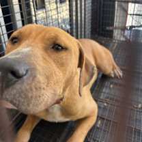 Thumbnail photo of ANDY #3