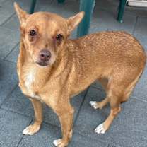 Thumbnail photo of Teresa #1