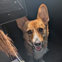 Thumbnail photo of AKI #2