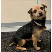 Thumbnail photo of Elizabeth Taylor #2