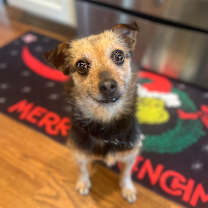 Thumbnail photo of Elizabeth Taylor #3