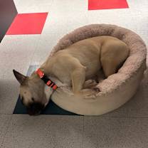 Thumbnail photo of Rowan #3