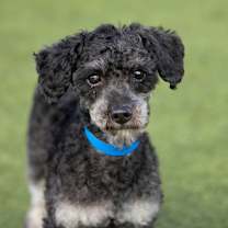 Thumbnail photo of Snickers (OT25-140) #1