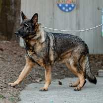 Thumbnail photo of Leonora #3