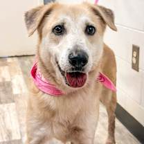 Thumbnail photo of Lady #2