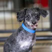 Thumbnail photo of Snickers (OT25-140) #3