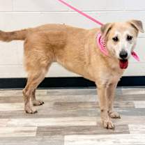 Thumbnail photo of Lady #3