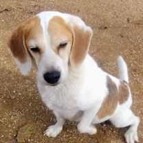 Thumbnail photo of money penny-She's a Bond girl. #4