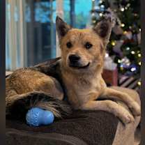 Thumbnail photo of Nate #1