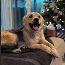 Thumbnail photo of Nate #2