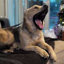 Thumbnail photo of Nate #3