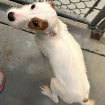 Thumbnail photo of Odette #2