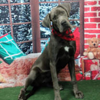 Thumbnail photo of Kiva #1