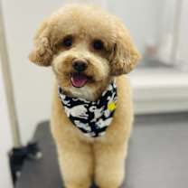 Thumbnail photo of Patience #1