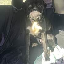 Thumbnail photo of Tommy Tumble #2