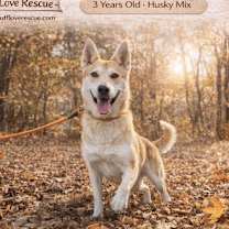 Thumbnail photo of Selah #1