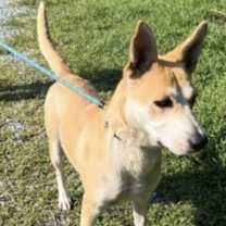 Thumbnail photo of Selah #4