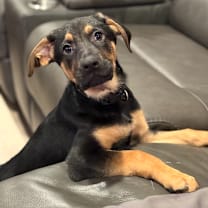 Thumbnail photo of Turner #4