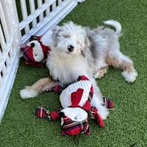 Thumbnail photo of Crash #1