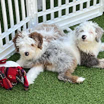 Thumbnail photo of Crash #2