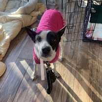 Thumbnail photo of Reba #3