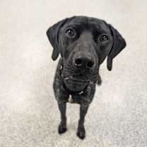 Thumbnail photo of Rip #3