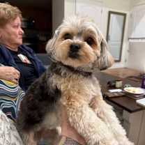 Thumbnail photo of Lilly #2