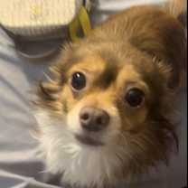 Thumbnail photo of August #2