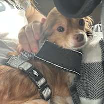 Thumbnail photo of August #3