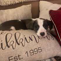 Thumbnail photo of Dancer #3