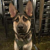 Thumbnail photo of Finn #2