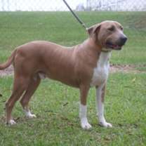 Thumbnail photo of Rocky 24 #3