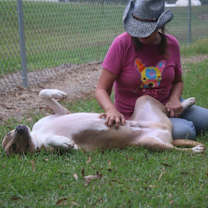 Thumbnail photo of Rocky 24 #4